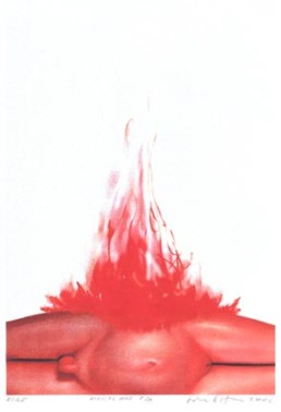 OVIDIU PETCA (Rumänien), Fire, 2002